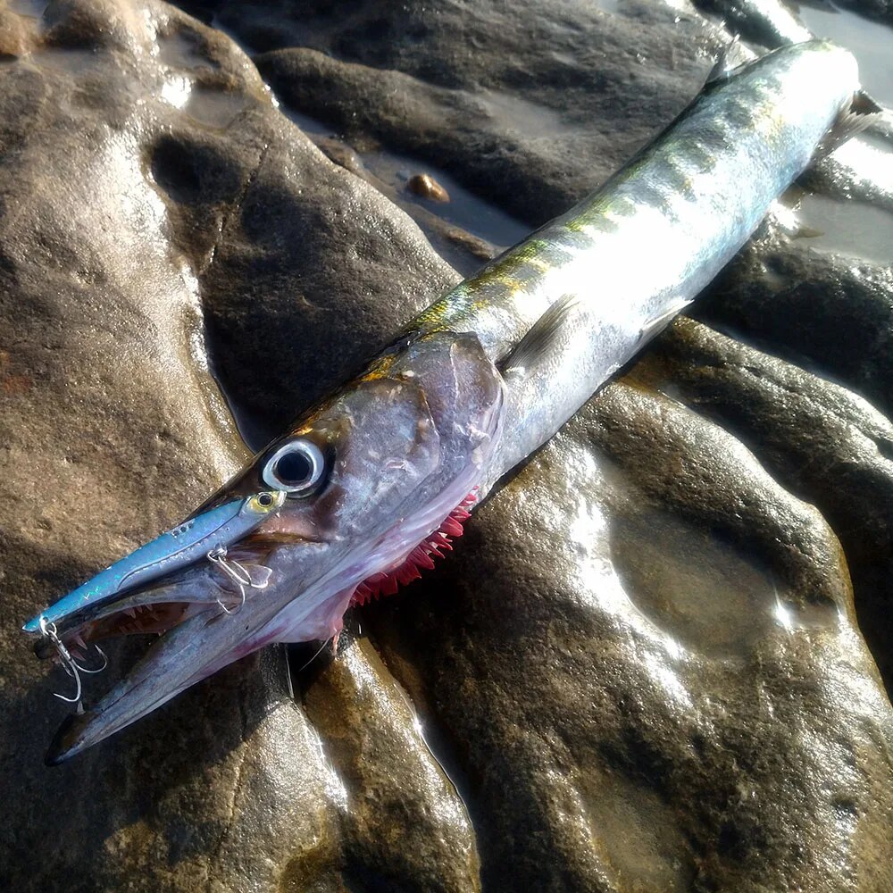 GOBAIT VIB Vissen Lokken 20g 2 - Fishing Hook Treble recensie en prijs